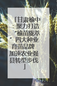 甘肃榆中：聚力打造“榆苗陇萃”四大种业育苗品牌 加速农业强县转型步伐