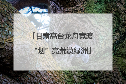 甘肃高台龙舟竞渡“划”亮荒漠绿洲