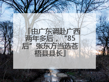 由广东调赴广西两年多后，“85后”张东方当选苍梧县县长