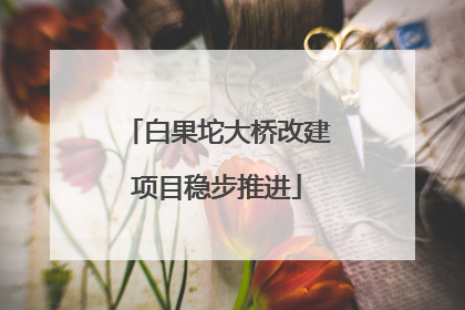 白果坨大桥改建项目稳步推进