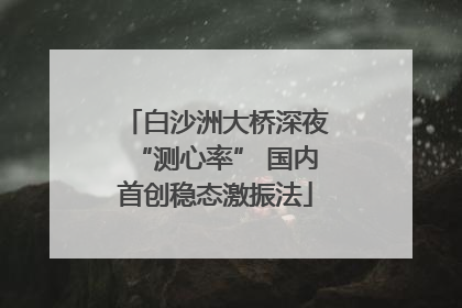 白沙洲大桥深夜“测心率” 国内首创稳态激振法