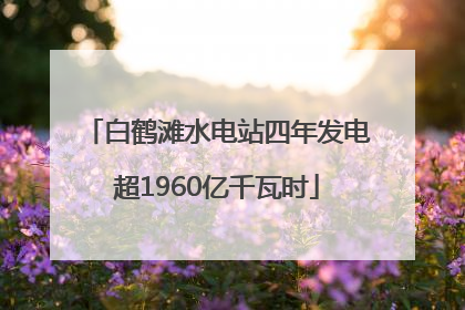 白鹤滩水电站四年发电超1960亿千瓦时