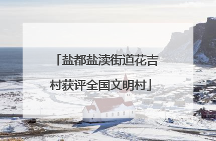 盐都盐渎街道花吉村获评全国文明村