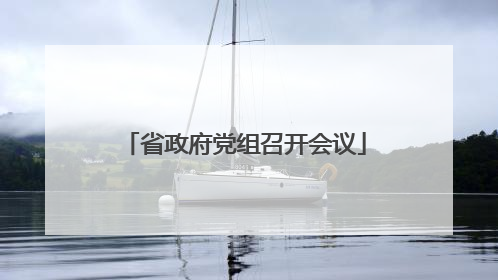省政府党组召开会议