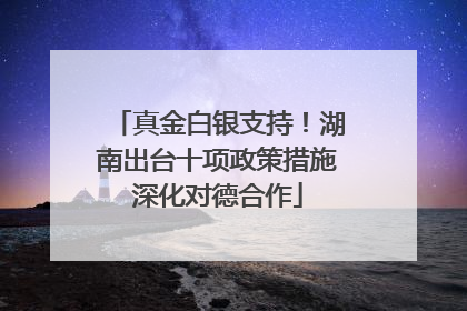 真金白银支持！湖南出台十项政策措施深化对德合作