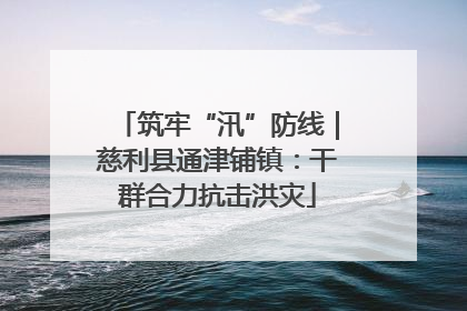 筑牢“汛”防线｜慈利县通津铺镇：干群合力抗击洪灾