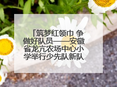 筑梦红领巾 争做好队员——安徽省龙亢农场中心小学举行少先队新队员入队仪式