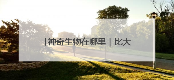 神奇生物在哪里｜比大熊猫更稀少！湖南新宁成功救护濒危鸟类海南鳽