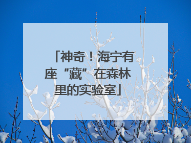 神奇！海宁有座“藏”在森林里的实验室
