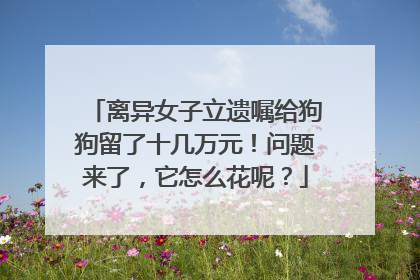 离异女子立遗嘱给狗狗留了十几万元！问题来了，它怎么花呢？