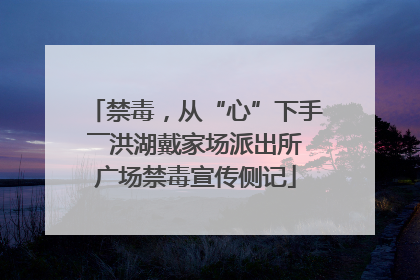 禁毒，从“心”下手――洪湖戴家场派出所广场禁毒宣传侧记