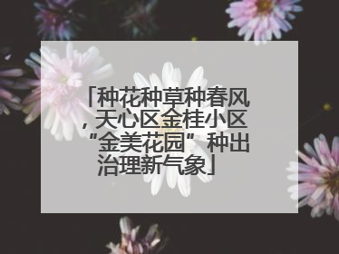 种花种草种春风，天心区金桂小区“金美花园”种出治理新气象