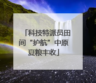 科技特派员田间“护航”中原夏粮丰收