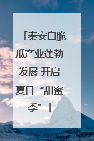 秦安白脆瓜产业蓬勃发展 开启夏日“甜蜜季”