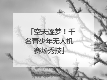 空天逐梦！千名青少年无人机赛场秀技