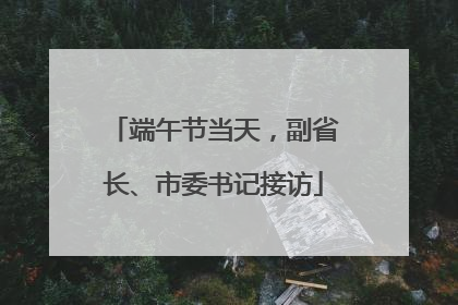 端午节当天，副省长、市委书记接访
