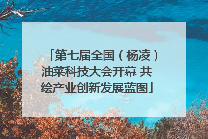 第七届全国（杨凌）油菜科技大会开幕 共绘产业创新发展蓝图