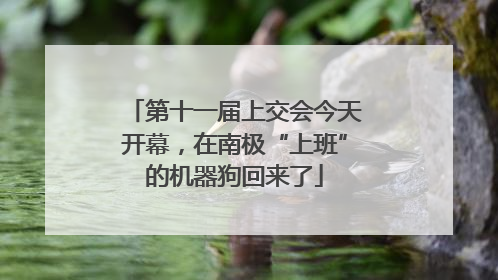 第十一届上交会今天开幕，在南极“上班”的机器狗回来了