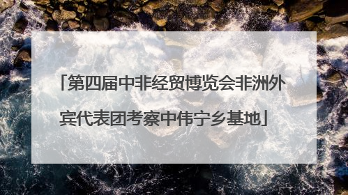 第四届中非经贸博览会非洲外宾代表团考察中伟宁乡基地