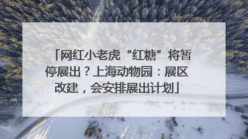 网红小老虎“红糖”将暂停展出？上海动物园：展区改建，会安排展出计划