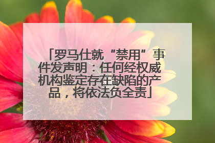 罗马仕就“禁用”事件发声明：任何经权威机构鉴定存在缺陷的产品，将依法负全责