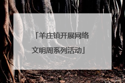 羊庄镇开展网络文明周系列活动