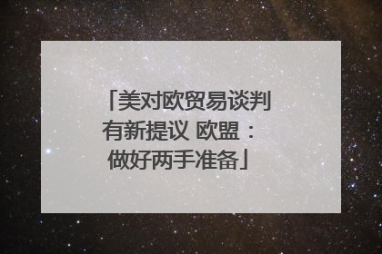 美对欧贸易谈判有新提议 欧盟：做好两手准备