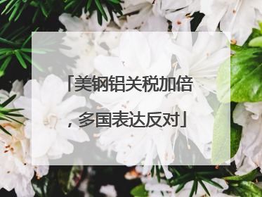 美钢铝关税加倍，多国表达反对