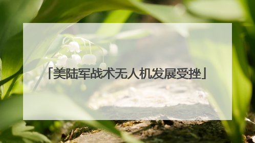 美陆军战术无人机发展受挫