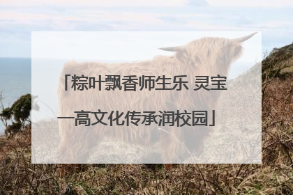 粽叶飘香师生乐 灵宝一高文化传承润校园