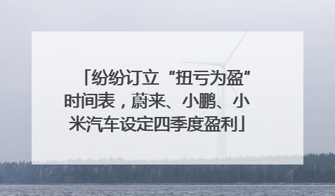 纷纷订立“扭亏为盈”时间表，蔚来、小鹏、小米汽车设定四季度盈利