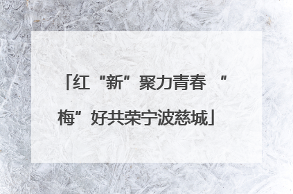 红“新”聚力青春 “梅”好共荣宁波慈城