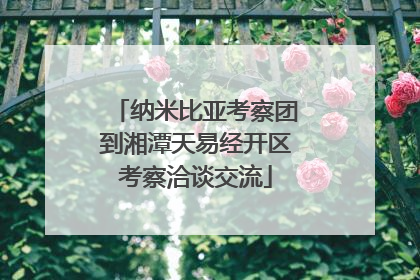 纳米比亚考察团到湘潭天易经开区考察洽谈交流