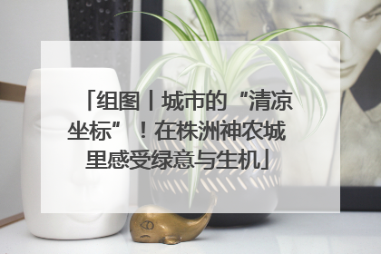 组图丨城市的“清凉坐标”！在株洲神农城里感受绿意与生机