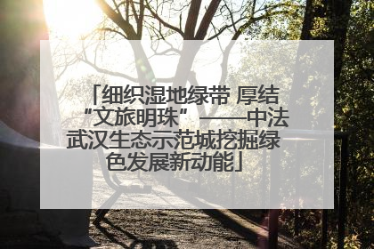 细织湿地绿带 厚结“文旅明珠”——中法武汉生态示范城挖掘绿色发展新动能