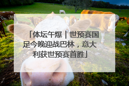 体坛午爆｜世预赛国足今晚迎战巴林，意大利获世预赛首胜