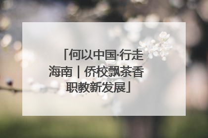 何以中国·行走海南｜侨校飘茶香 职教新发展