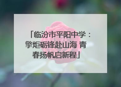 临汾市平阳中学：擎炬砺锋赴山海 青春扬帆启新程