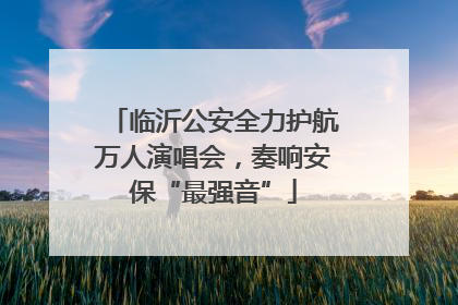 临沂公安全力护航万人演唱会，奏响安保“最强音”