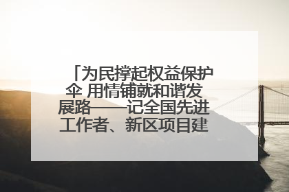 为民撑起权益保护伞 用情铺就和谐发展路——记全国先进工作者、新区项目建设中心干部卢小勇