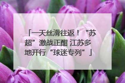 一天丝滑往返！“苏超”激战正酣 江苏多地开行“球迷专列”