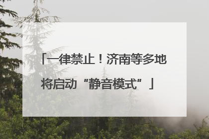 一律禁止！济南等多地将启动“静音模式”
