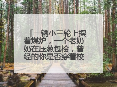 一辆小三轮上摆着煤炉，一个老奶奶在压葱包桧，曾经的你是否穿着校服等着吃