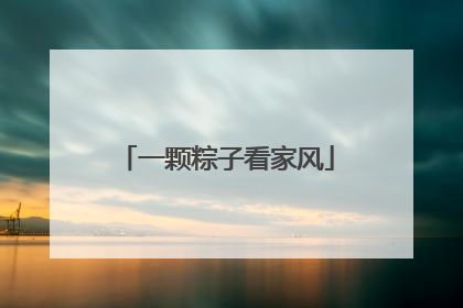 一颗粽子看家风
