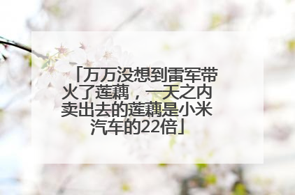 万万没想到雷军带火了莲藕，一天之内卖出去的莲藕是小米汽车的22倍