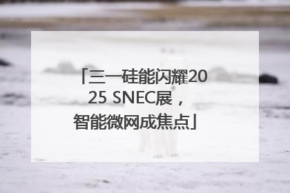 三一硅能闪耀2025 SNEC展，智能微网成焦点