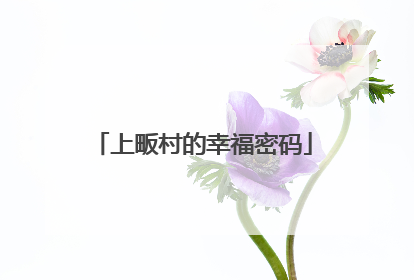上畈村的幸福密码