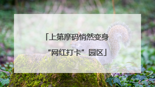 上第摩码悄然变身“网红打卡”园区