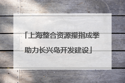 上海整合资源攥指成拳助力长兴岛开发建设