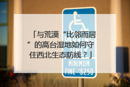 与荒漠“比邻而居”的高台湿地如何守住西北生态防线？